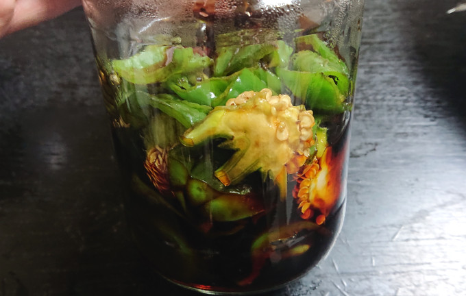 しょう油に漬けられたボタンコショウを横から見たところ