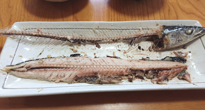サンマの塩焼きを食べているところ