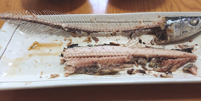 サンマの塩焼きを食べているところ