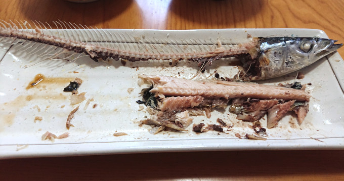 サンマの塩焼きを食べているところ