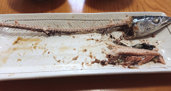 サンマの塩焼きを食べているところ