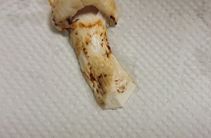 石づきを落とした松茸